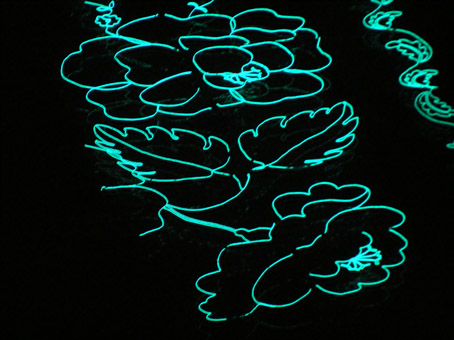 Durham Enlightenment Festival 2008